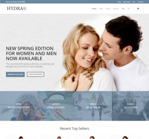 shopping website demo, template, theme from Hydra marketing